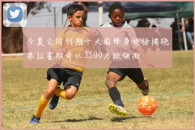 今夏合同到期十大前锋身价榜揭晓弗拉霍维奇以3500万欧领衔